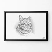 katzenportrait-rahmen-schwarz