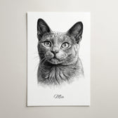 katzenportrait-als-poster-personalisiert