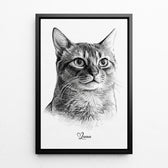 katzenportrait-rahmen-schwarz