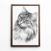 katzenportrait-leinwand-rahmen-walnuss