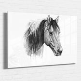 acrylglasportrait-auto-personalisiert